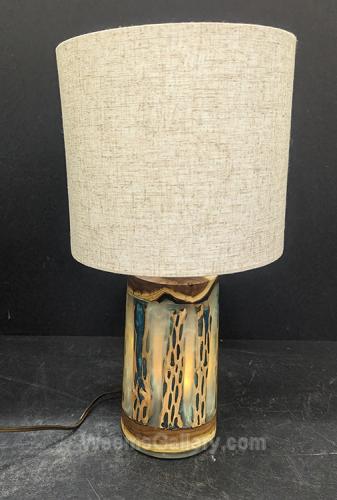Cholla & Turquoise Lamp by Andy Hageman