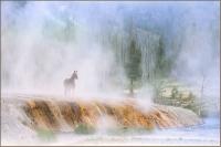 Visions of Yellowstone by Dennis Chamberlain