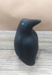 Black Penguin by Andrew Rodriguez