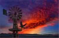 The Raven's Windmill by Dennis Chamberlain
