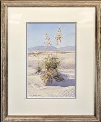 White Sands, Yucca Swirl by Dan Stouffer