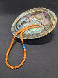 Monkey Paw Shell & turquoise Necklace by Pam Springall