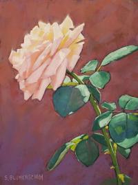 Rose Glow #1 by Sarah Blumenschein