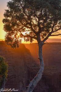 Sunset Canyon by Janet Haist